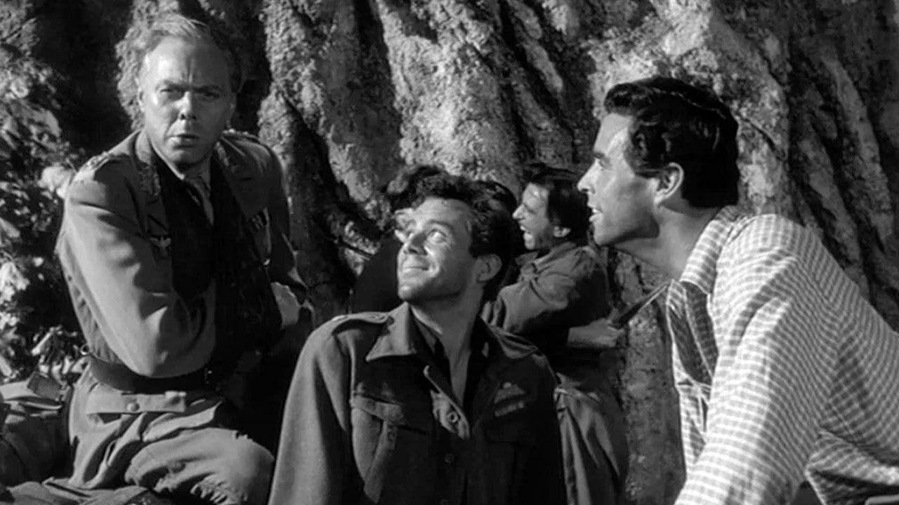 일 멧 바이 문라이트