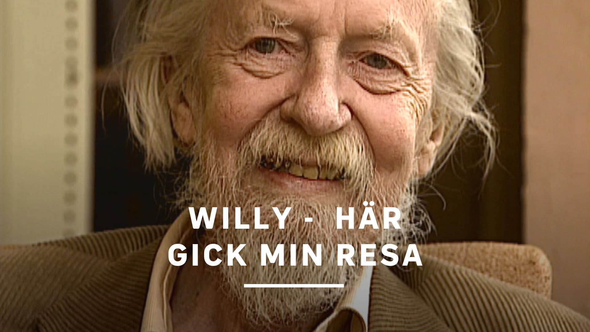 Willy - här gick min resa