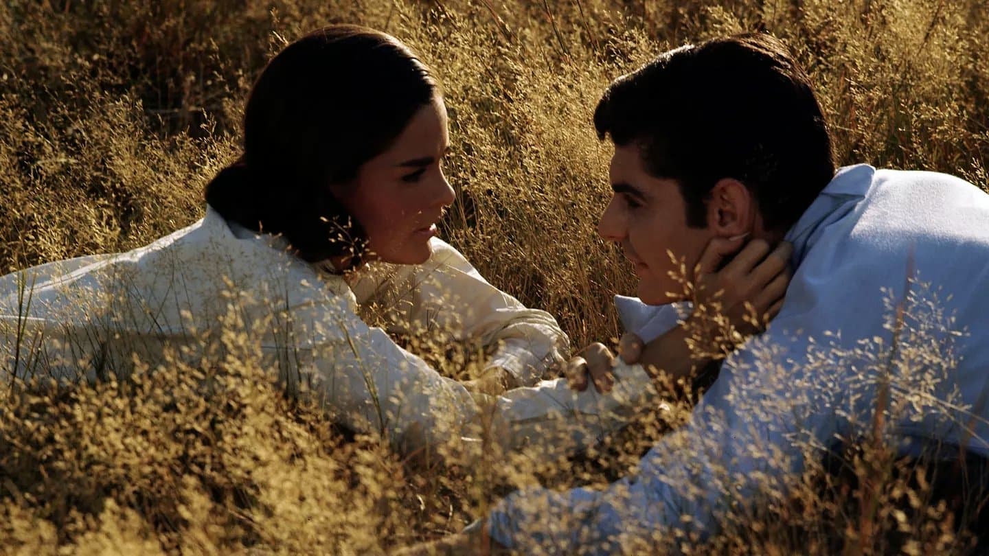 굿바이 컬럼버스