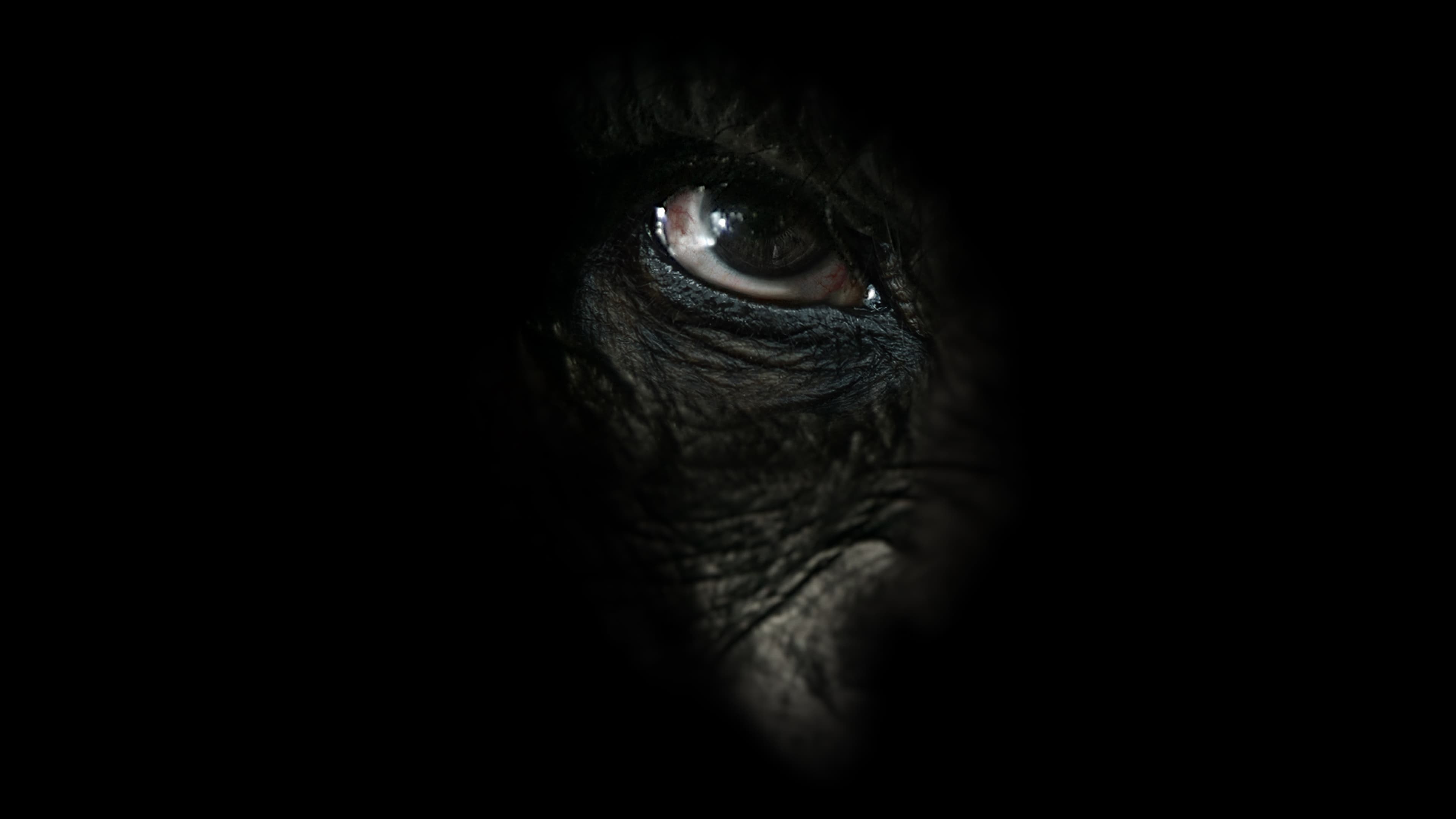 전사 유인원의 진화