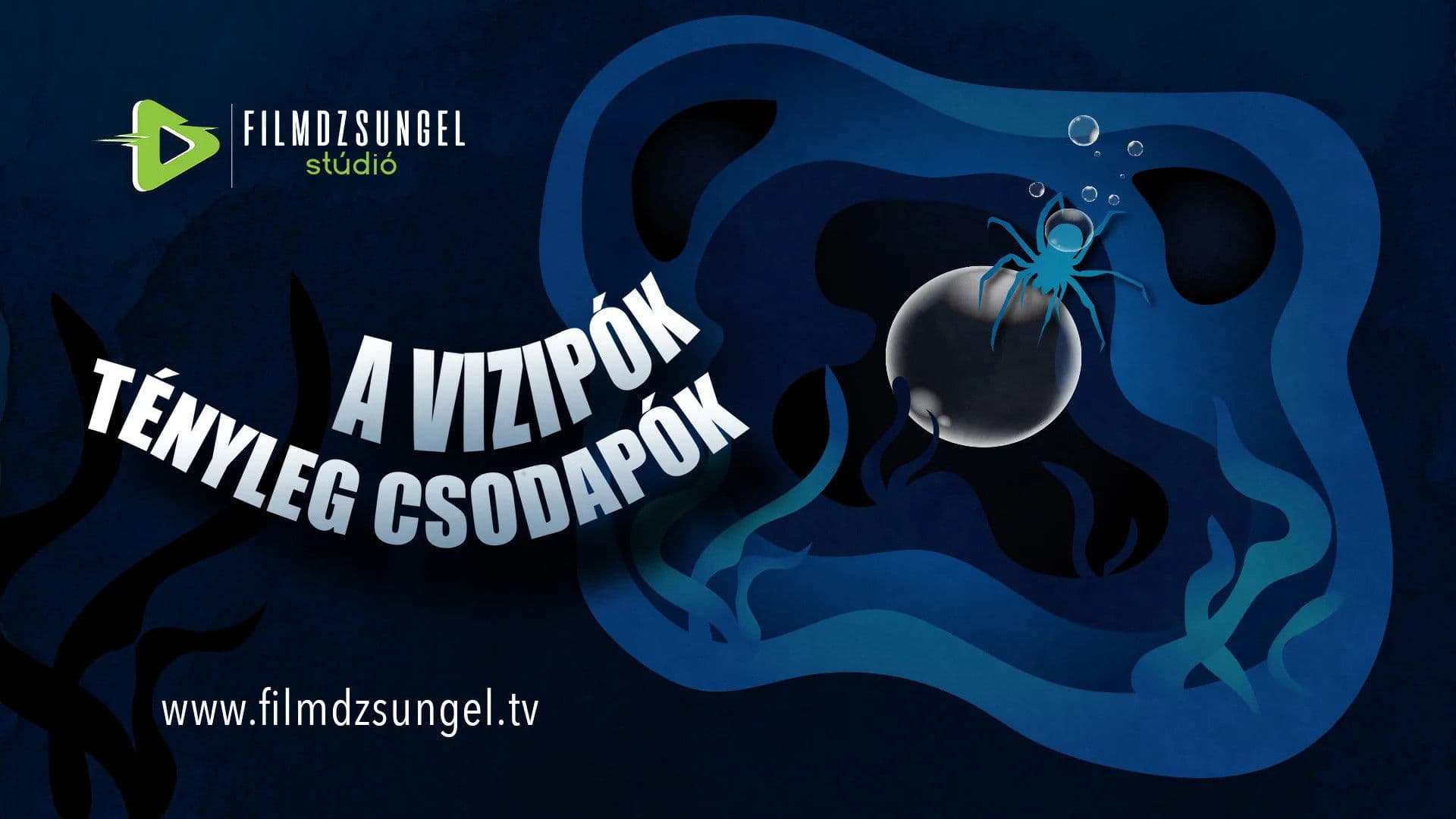 A vízipók tényleg csodapók