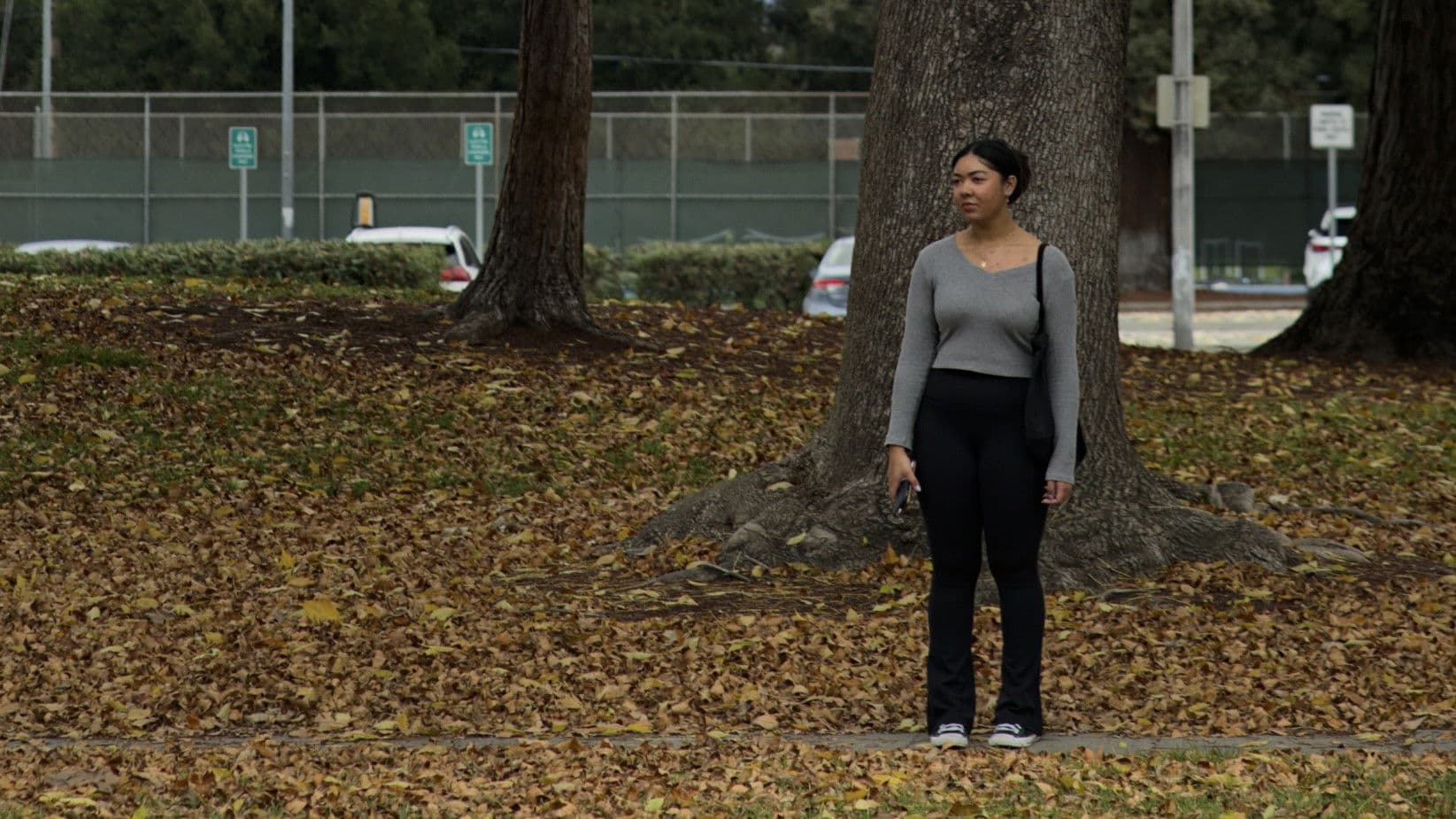 My Father's Daughter