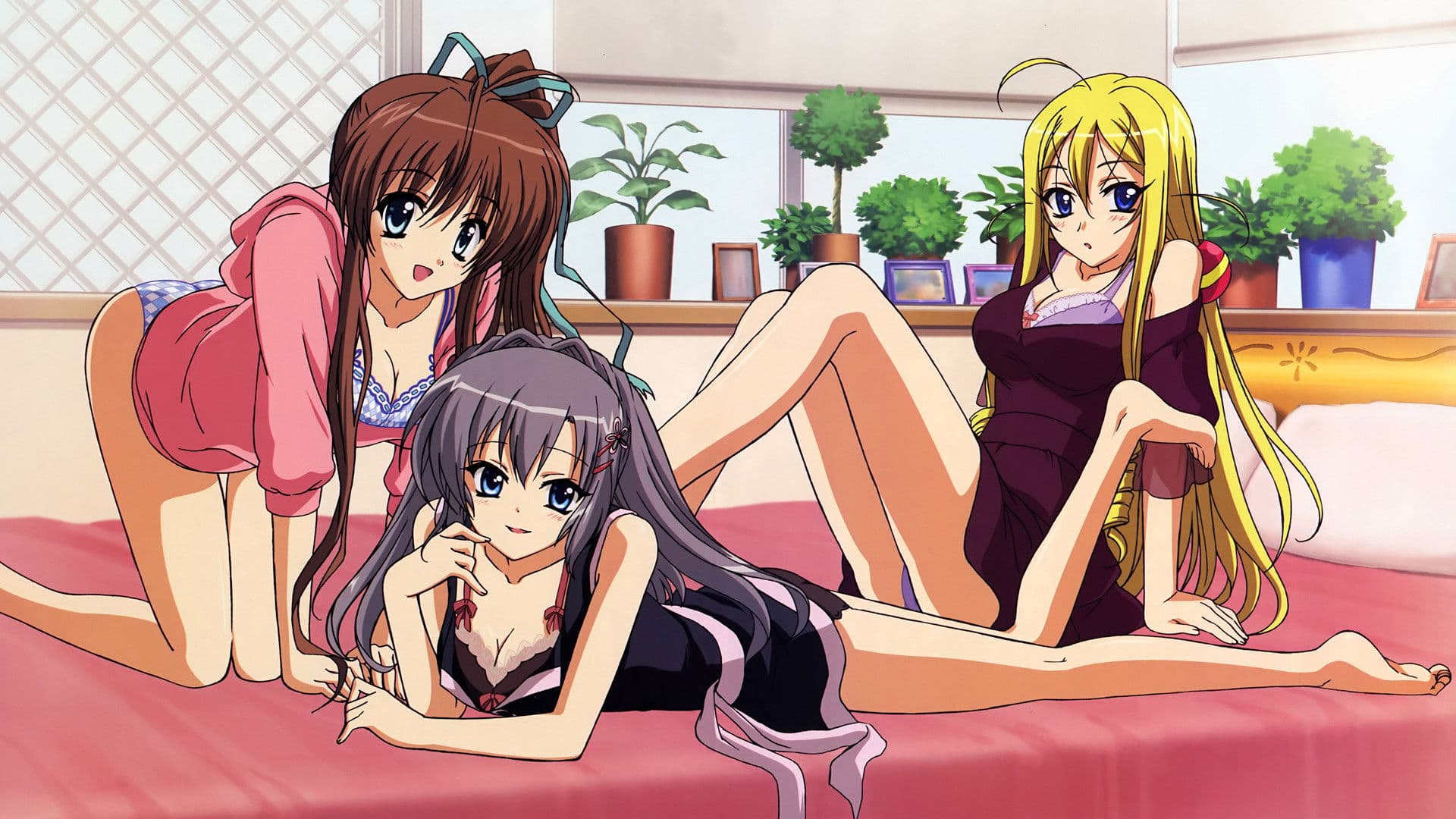 노을빛으로 물드는 언덕