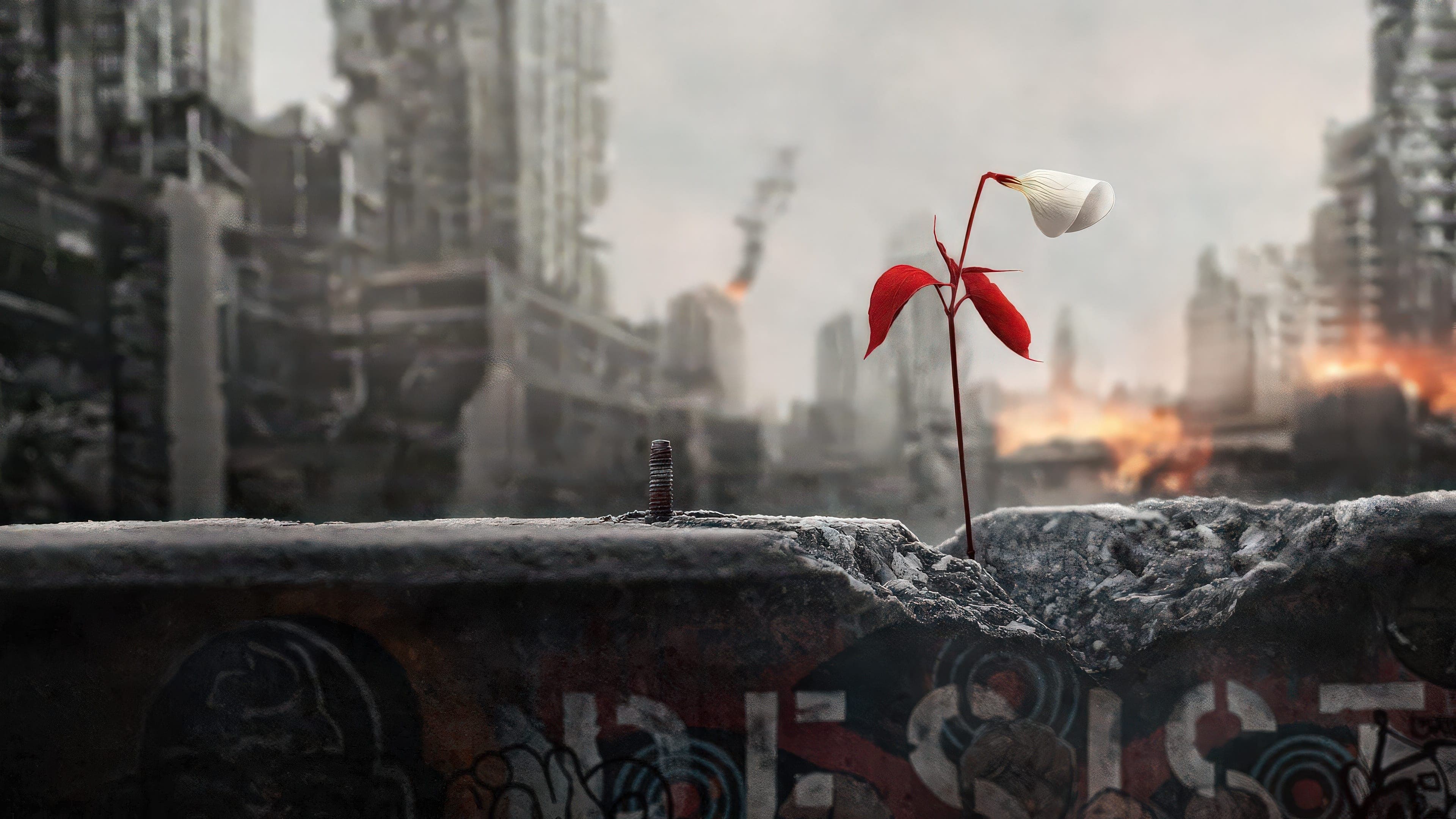 핸드메이즈 테일