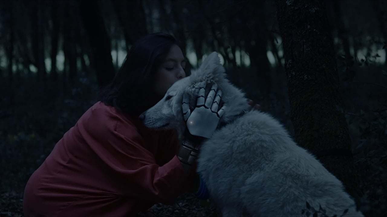 블랙 할로우 케이지