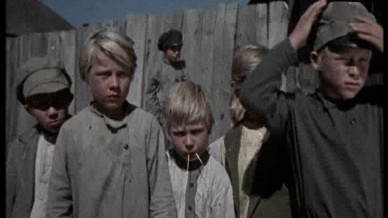 Тайна зеленого бора