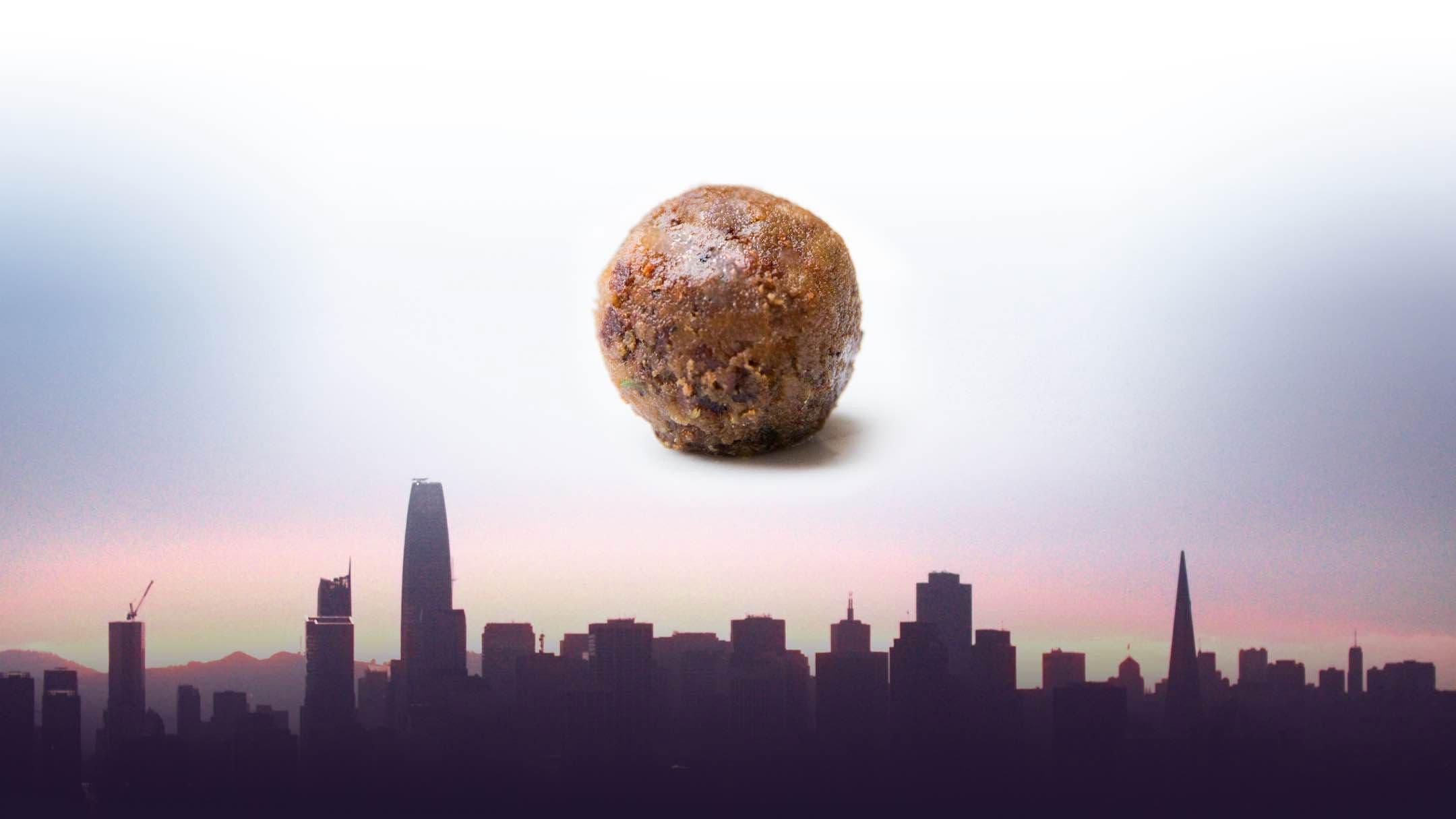 고기의 미래를 만나다