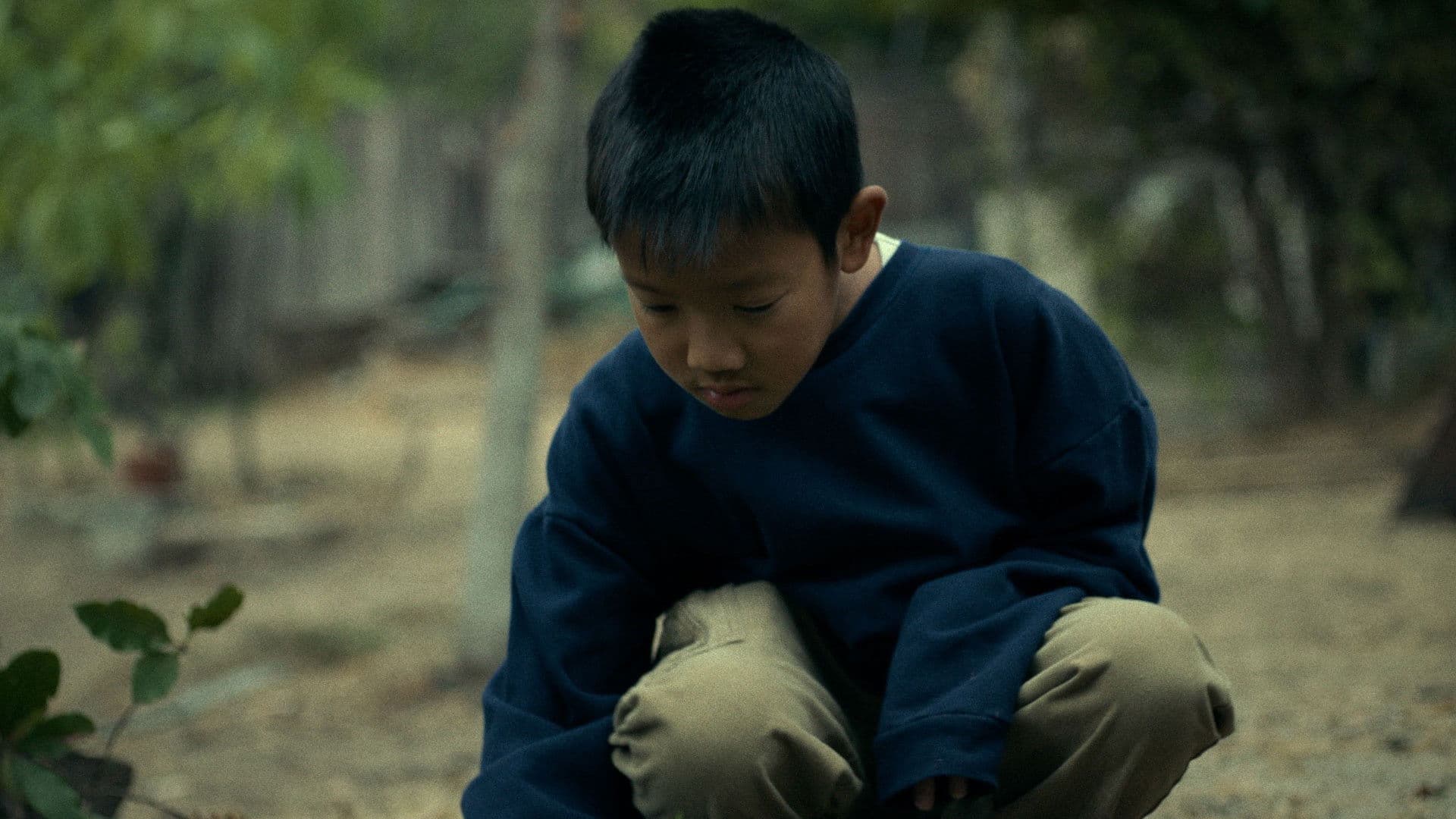 Forever is a Delicate Thing