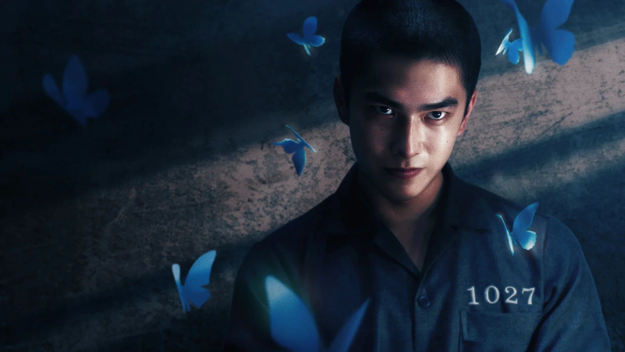 태양을 보지 않았다면