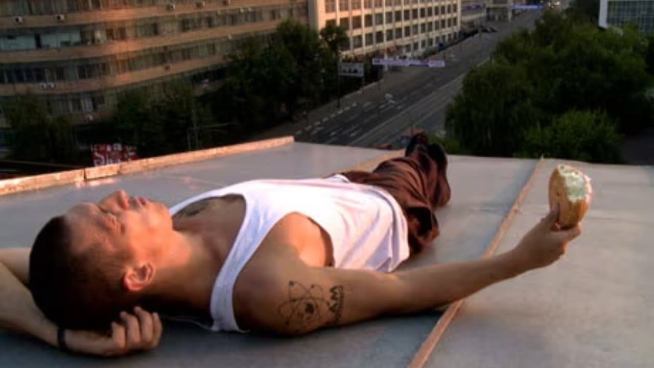 라이프 인 어 데이