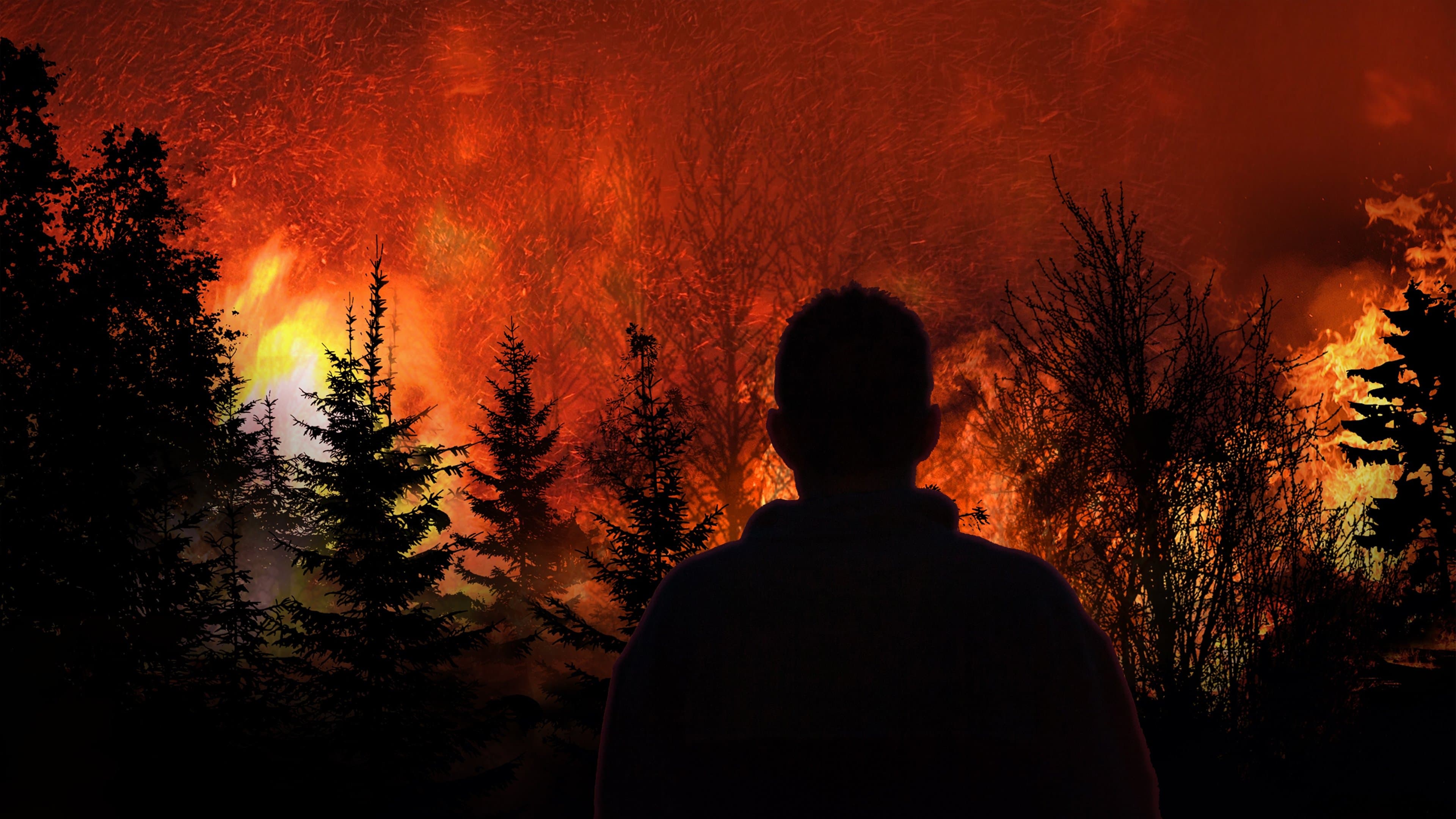 실제 상황: 재난의 목격자들