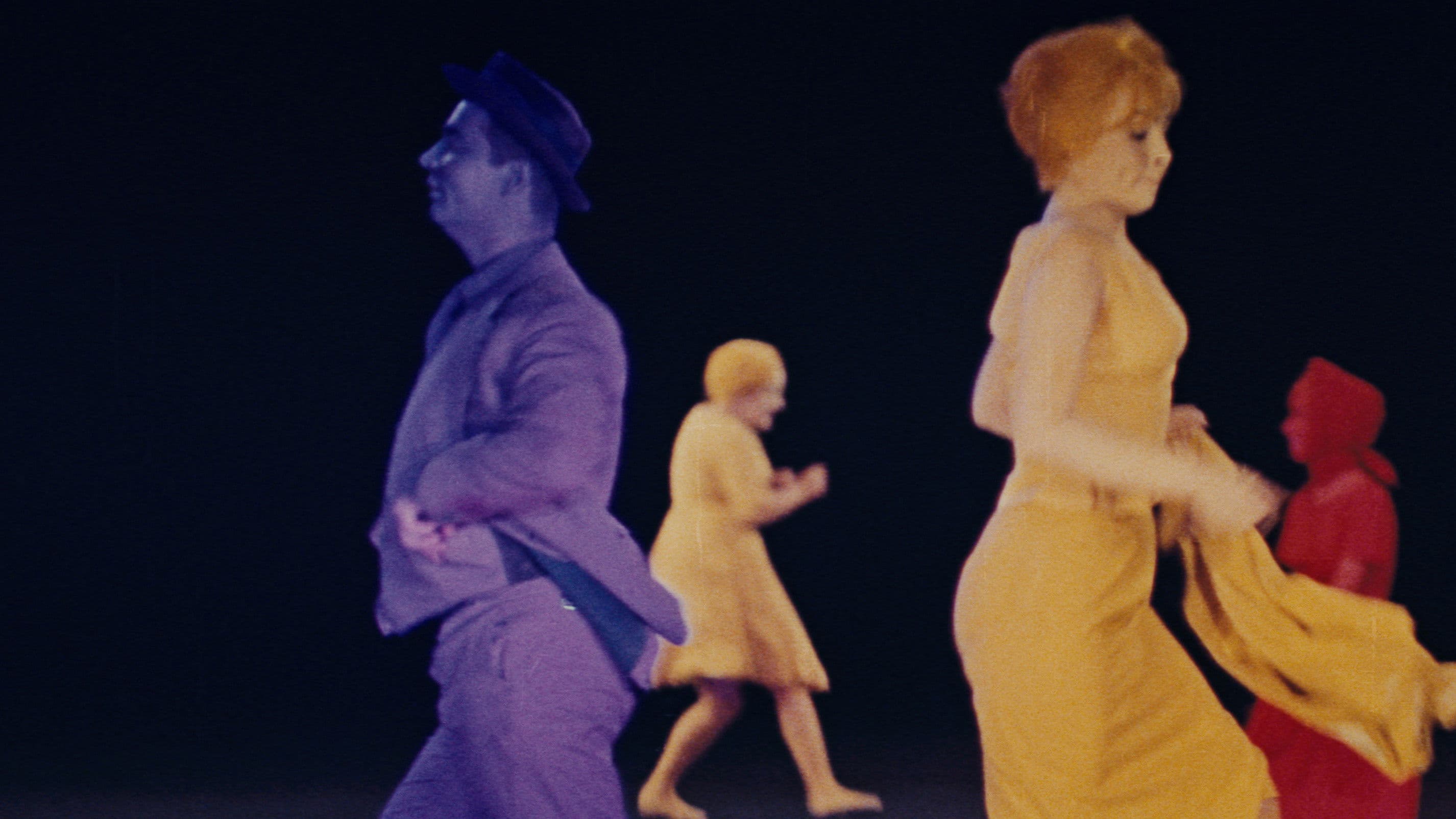 카산드라 고양이