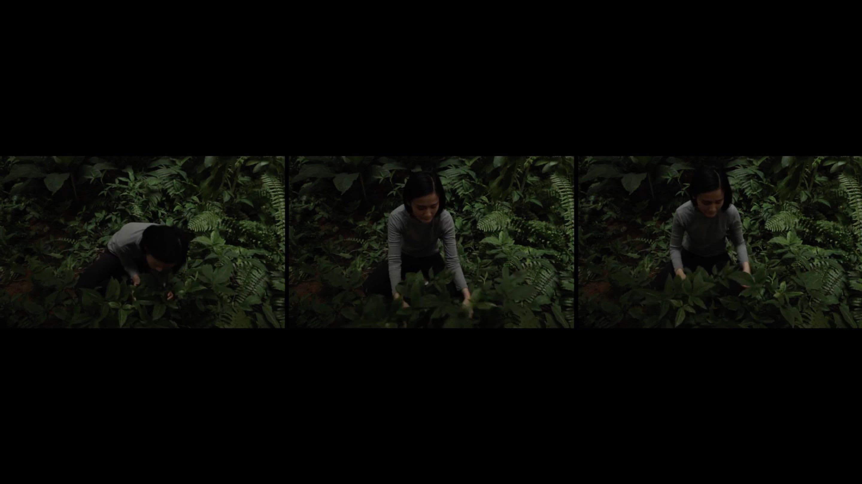 Anitya (Impermanence)