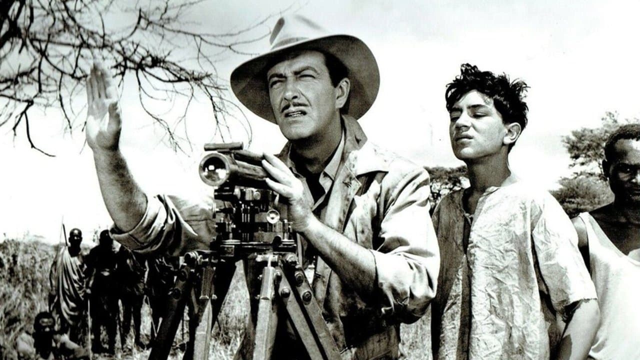 야성의 킬리만자로