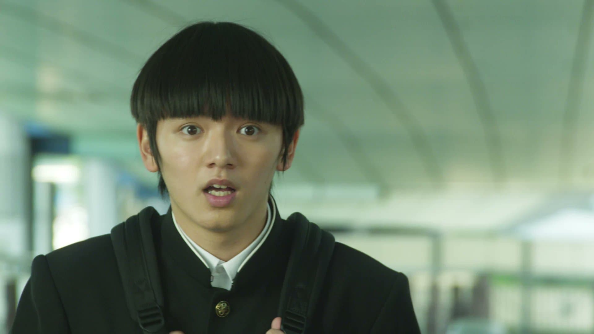 모브 사이코 100