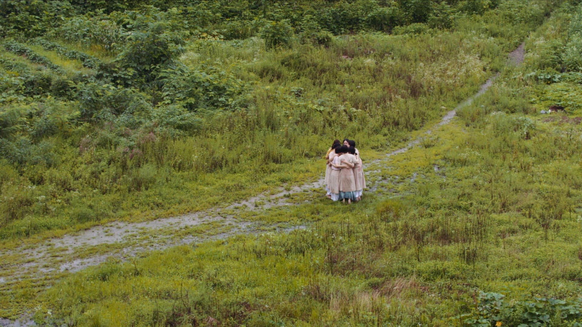 녹음이 빛나는 일대기