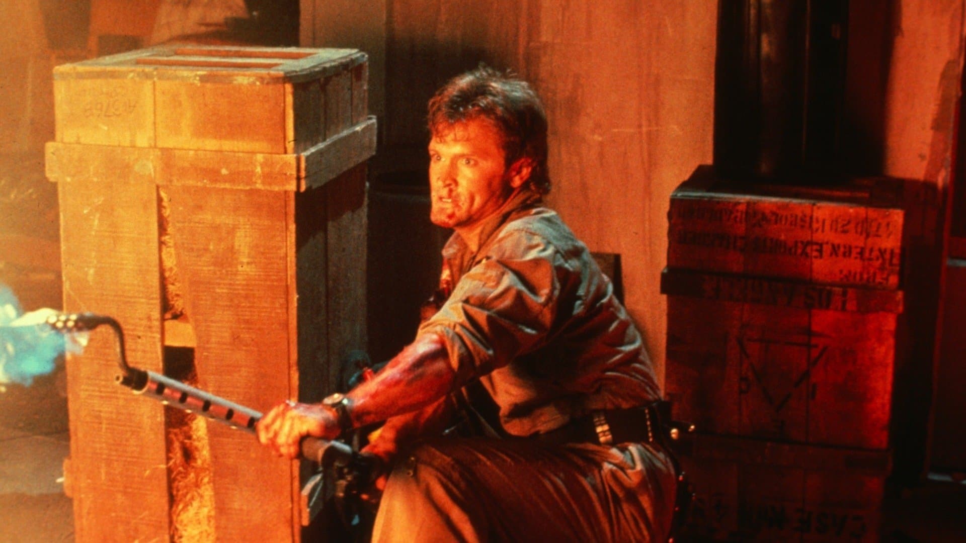 모자브 사막의 최후