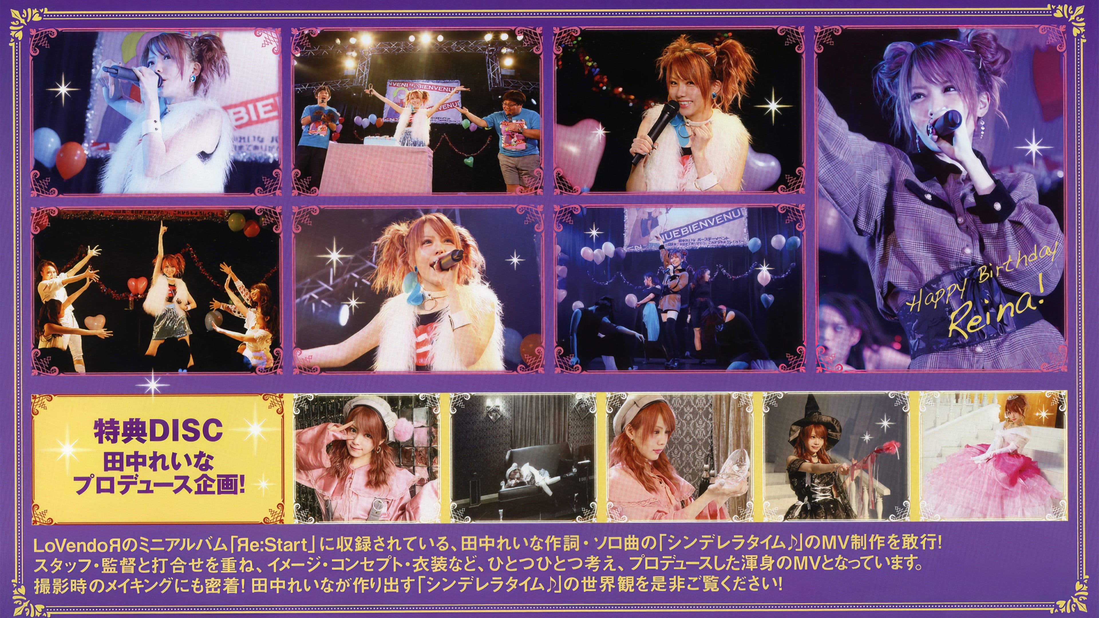 田中れいな バースデーイベント おつかれいな会６～28歳♡今日までありがとっ。これからもよろしくね！～