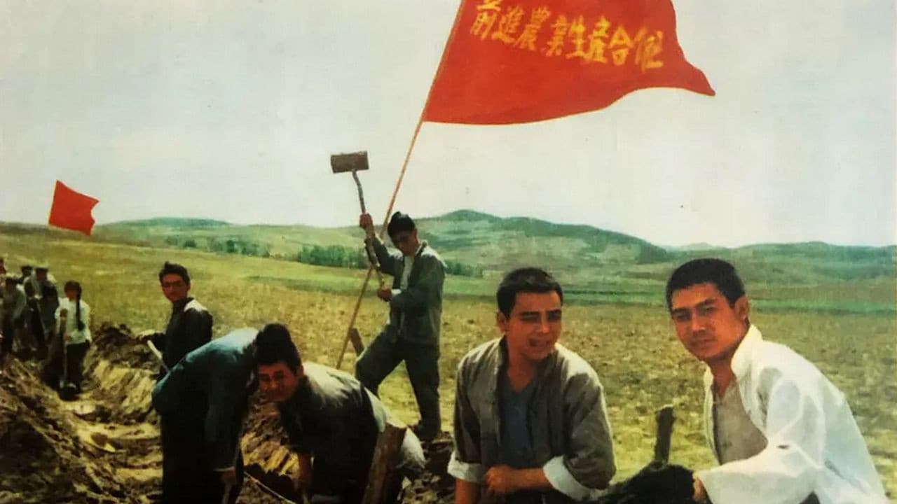 金光大道（中集）