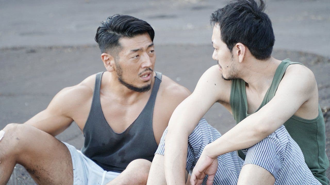 強がりカポナータ