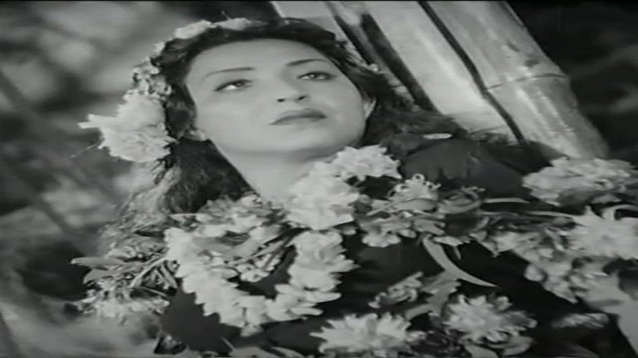 وادي النجوم