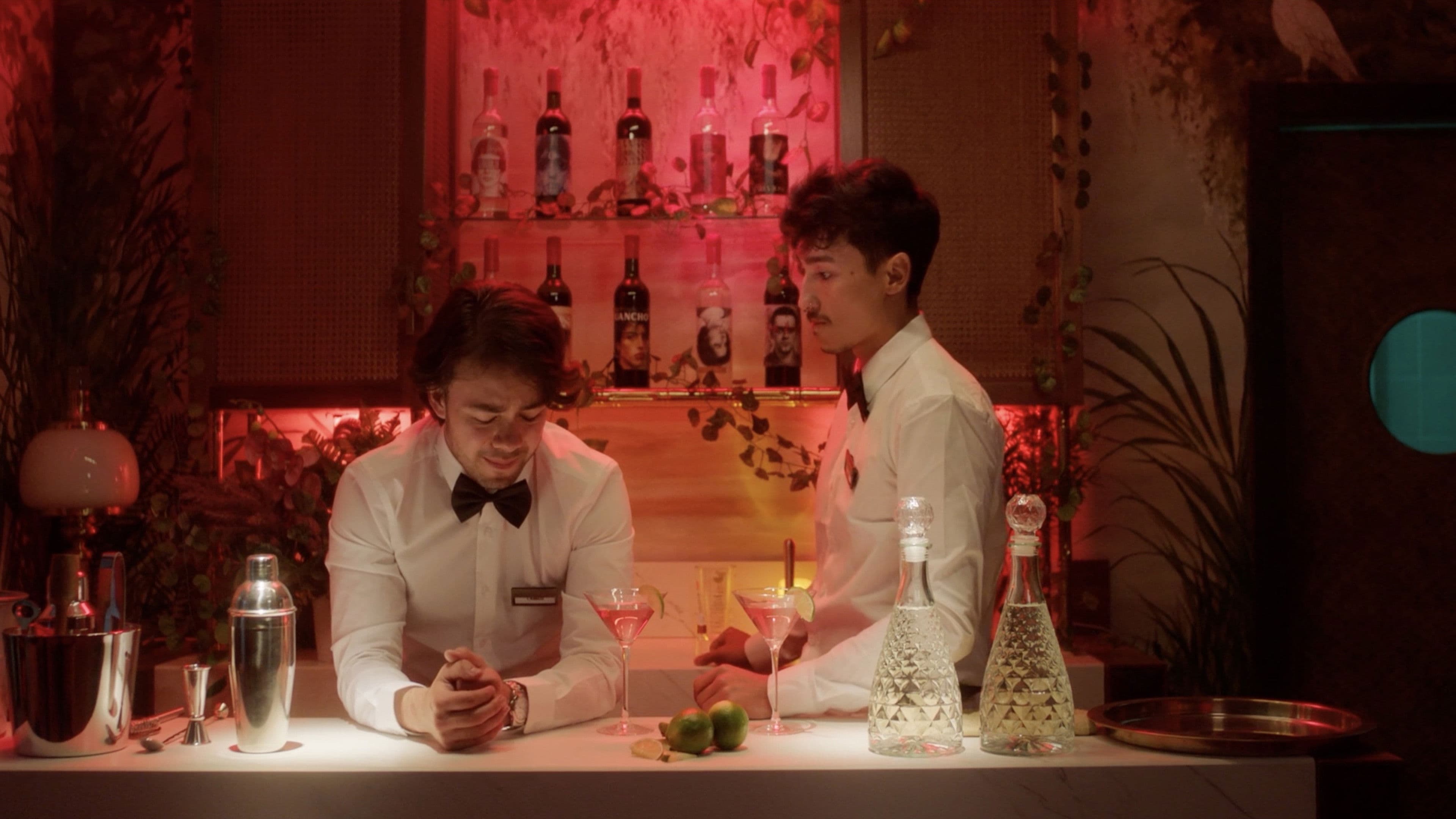 ¿Quiénes son los Salvatierra?