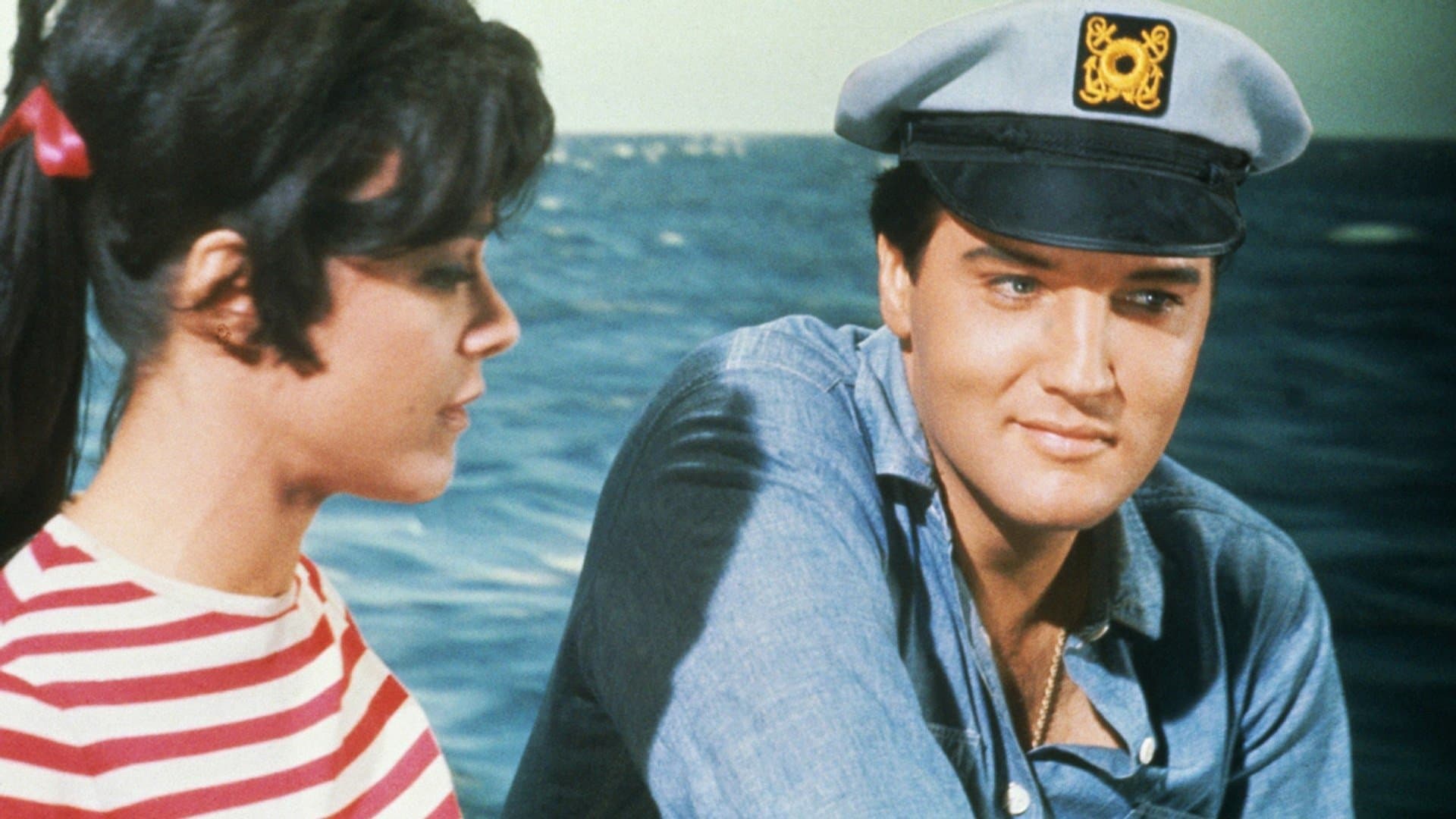 이지 컴, 이지 고