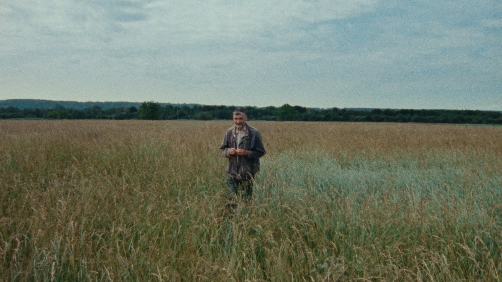 마크 브라운과 함께하는 7가지 산책