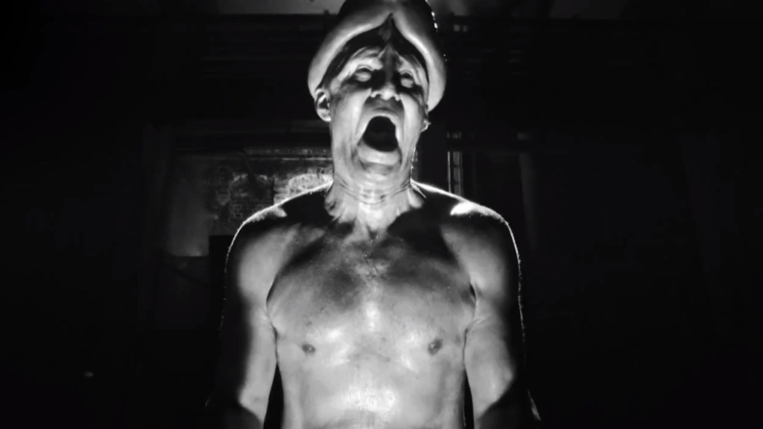 살아있는 성기들의 밤