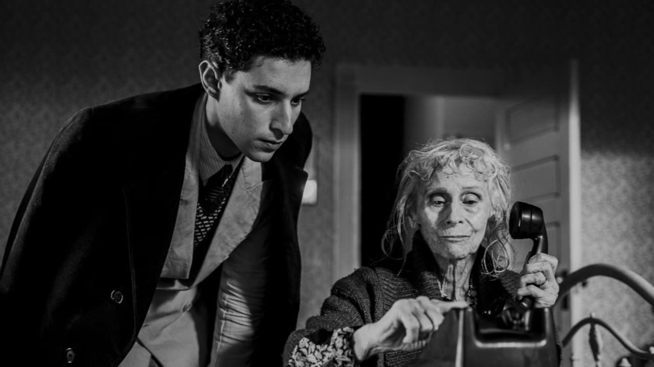 아메리칸 백야드