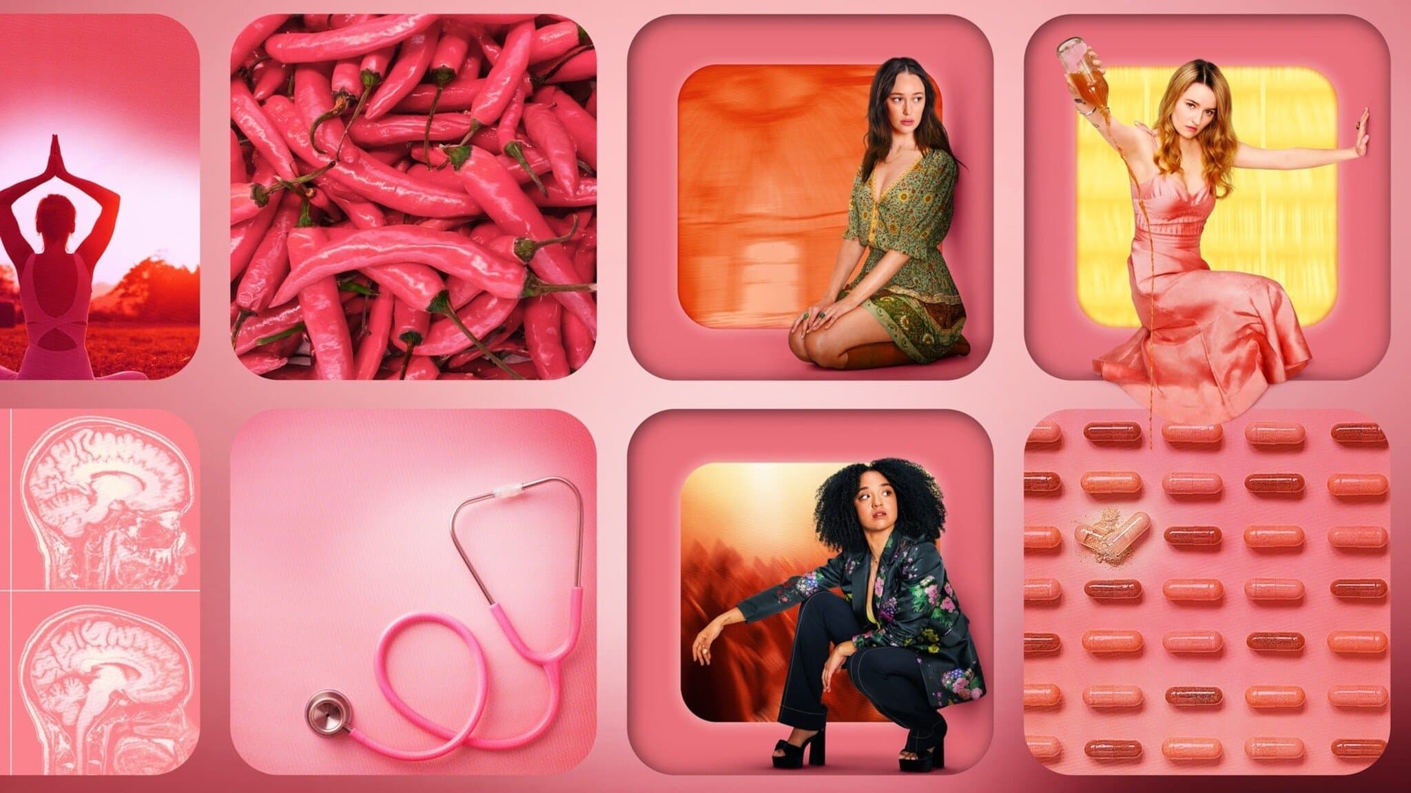 애플 사이다 비니거