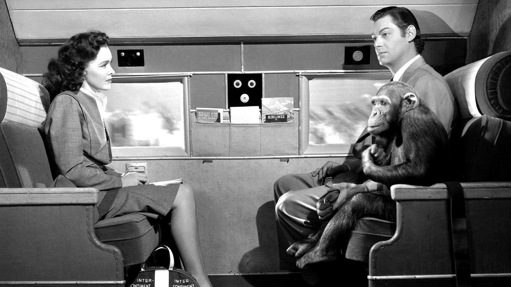 뉴욕으로 간 타잔