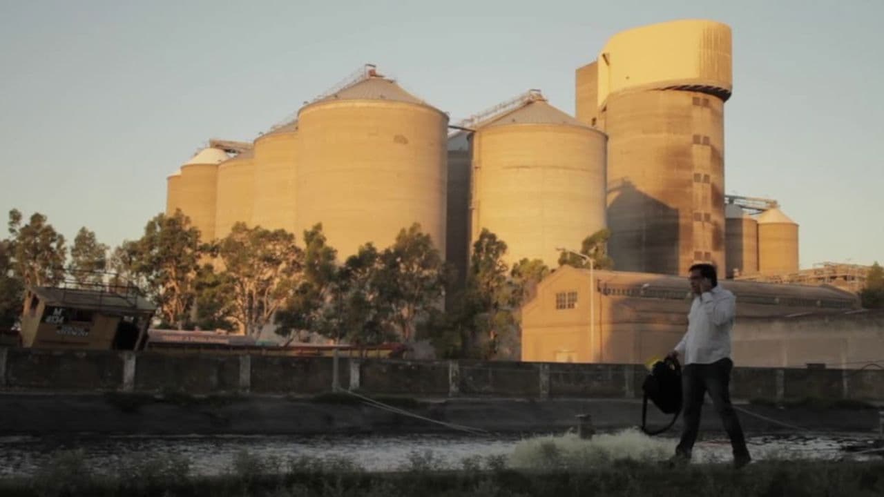 El camino de Martín Negri