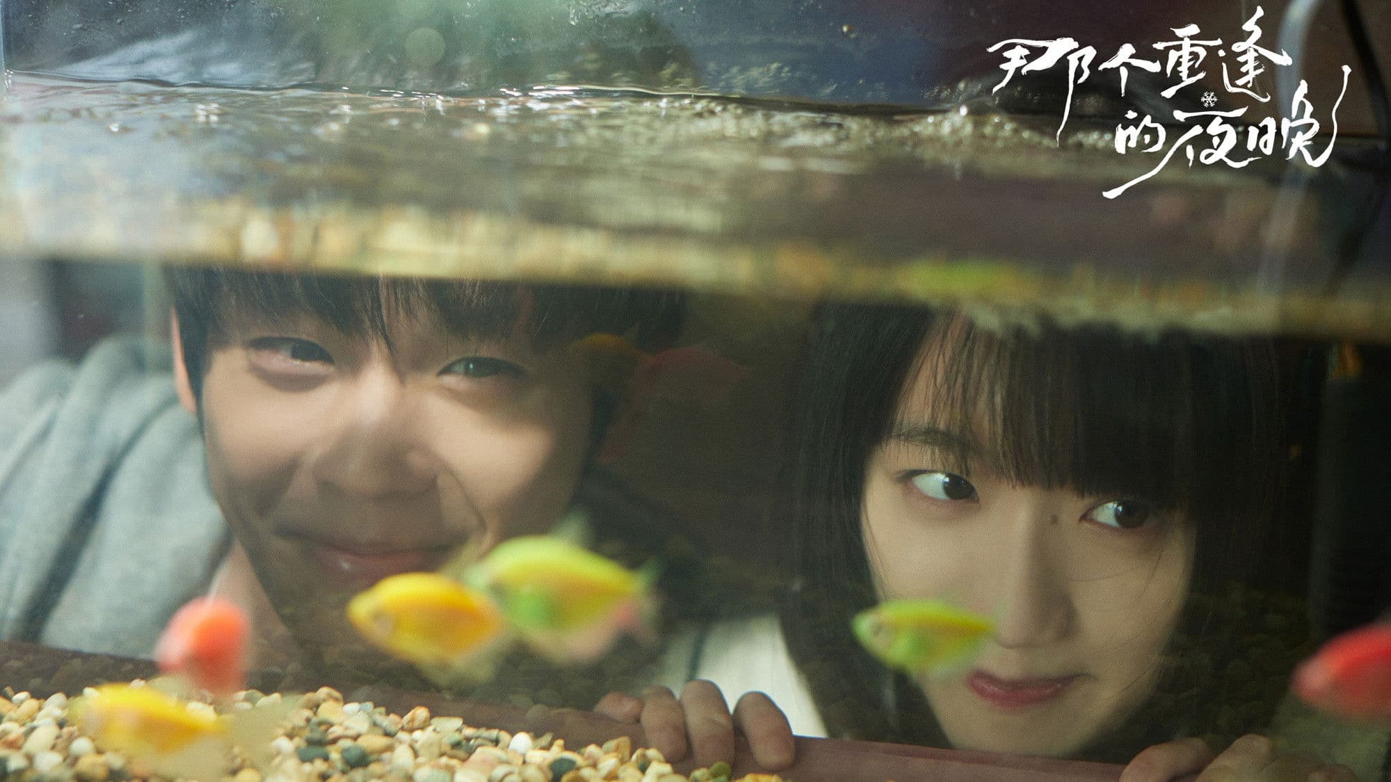 나개중봉적야만 : 다시 만난 우리