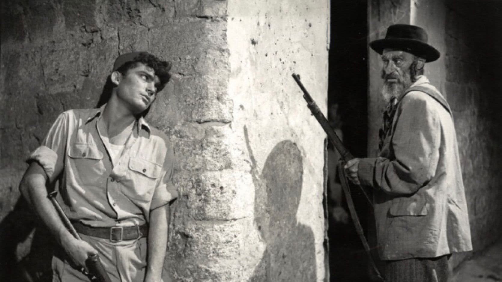 גבעה 24 אינה עונה