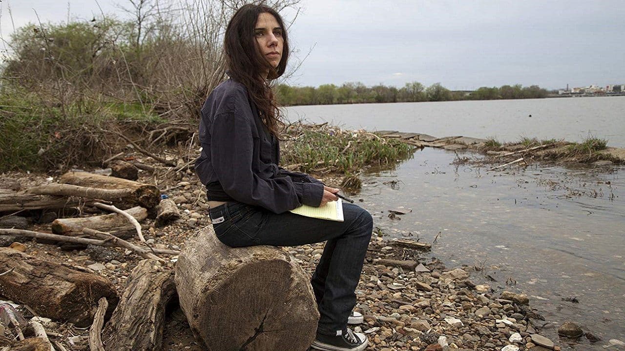 PJ 하비의 뮤직 다이어리