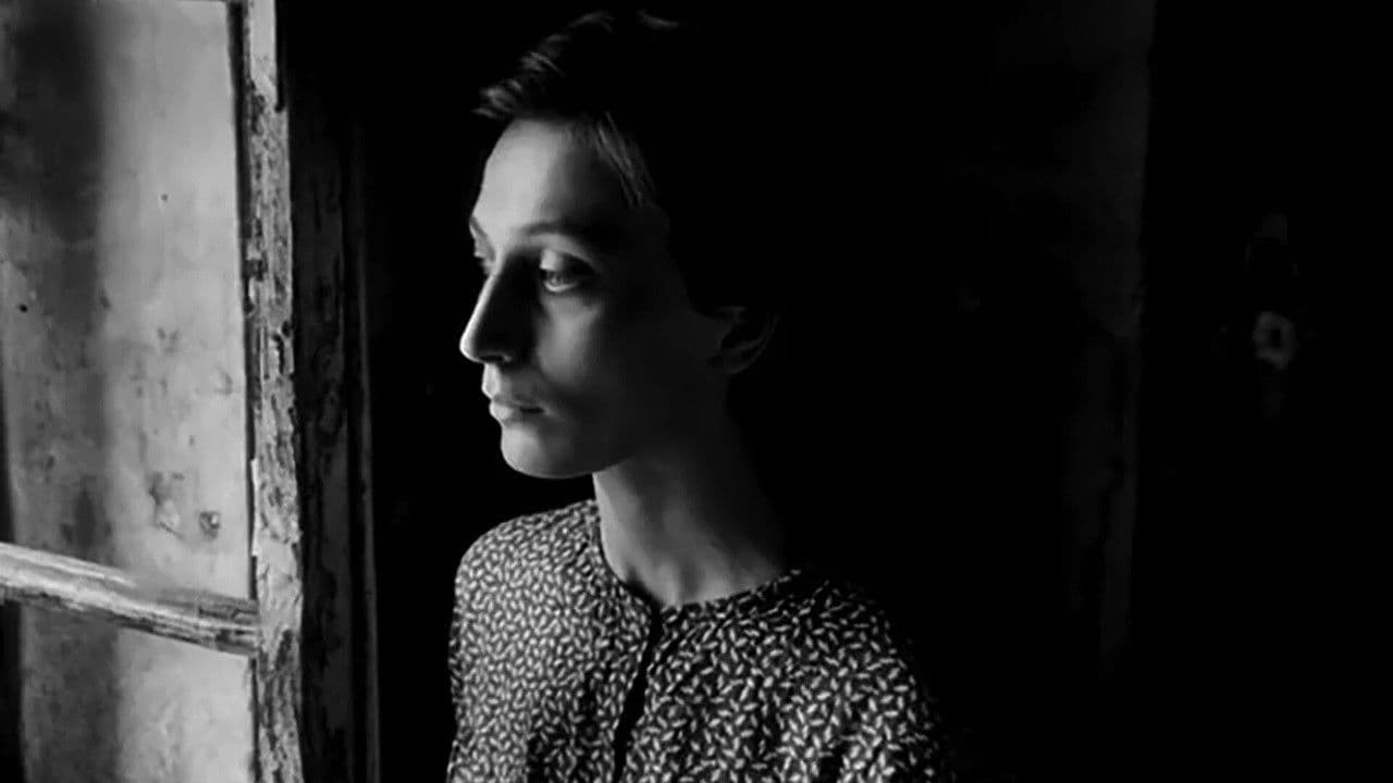 XIX საუკუნის ქართული ქრონიკა