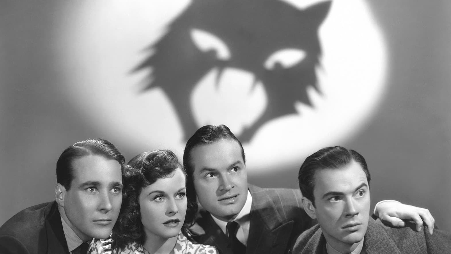 고양이와 카나리아