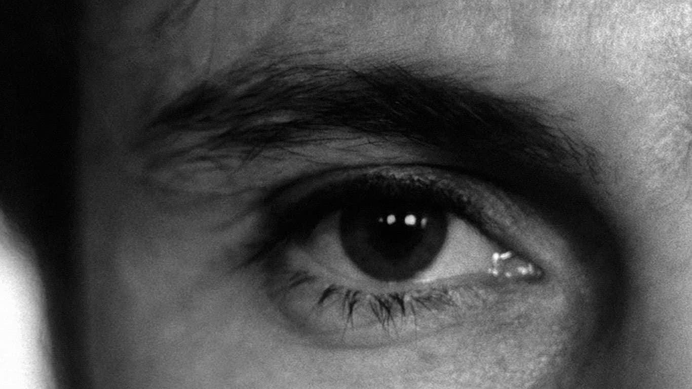 누가 내 문을 두드리는가?