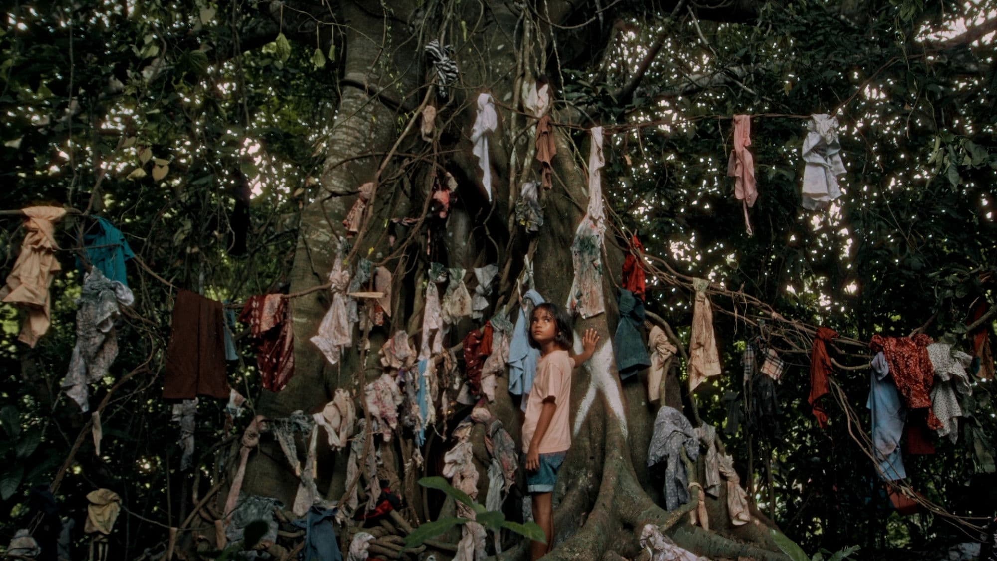 Bisan Abo, Wala Bilin