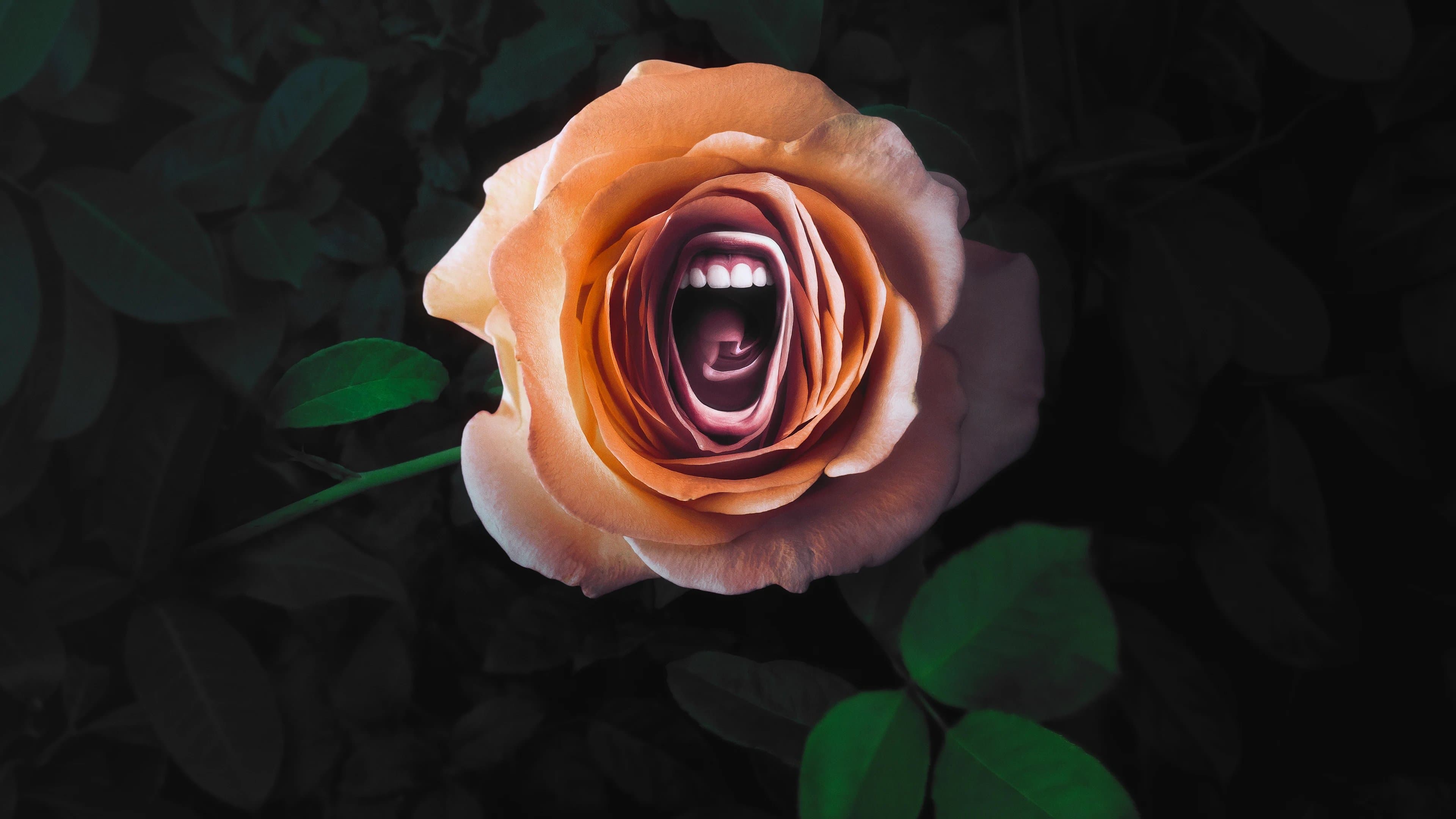 '로어: 세상을 향한 함성' - Roar