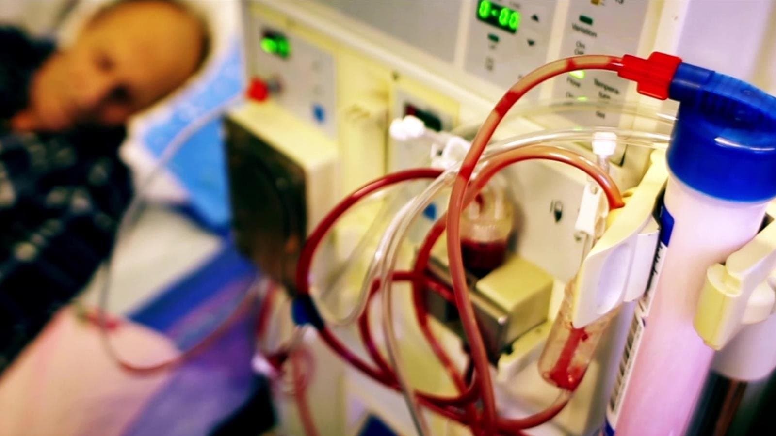 몸을 죽이는 자본의 밥상