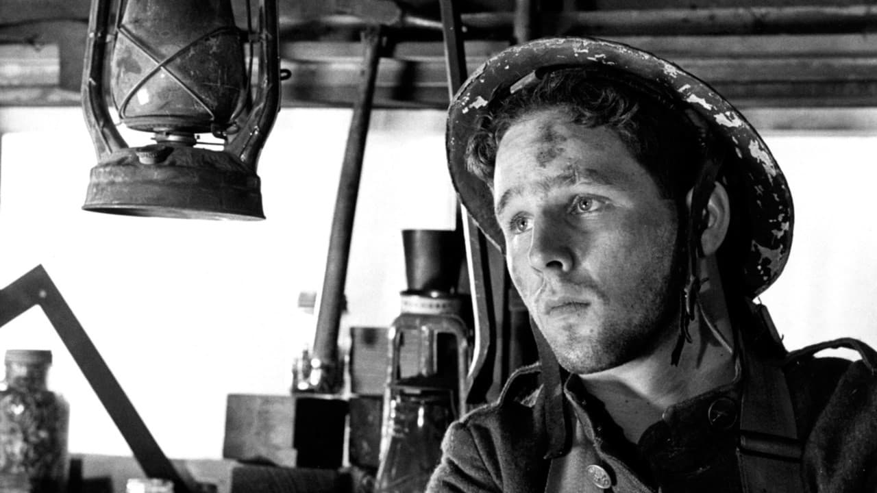 조니, 총을 얻다