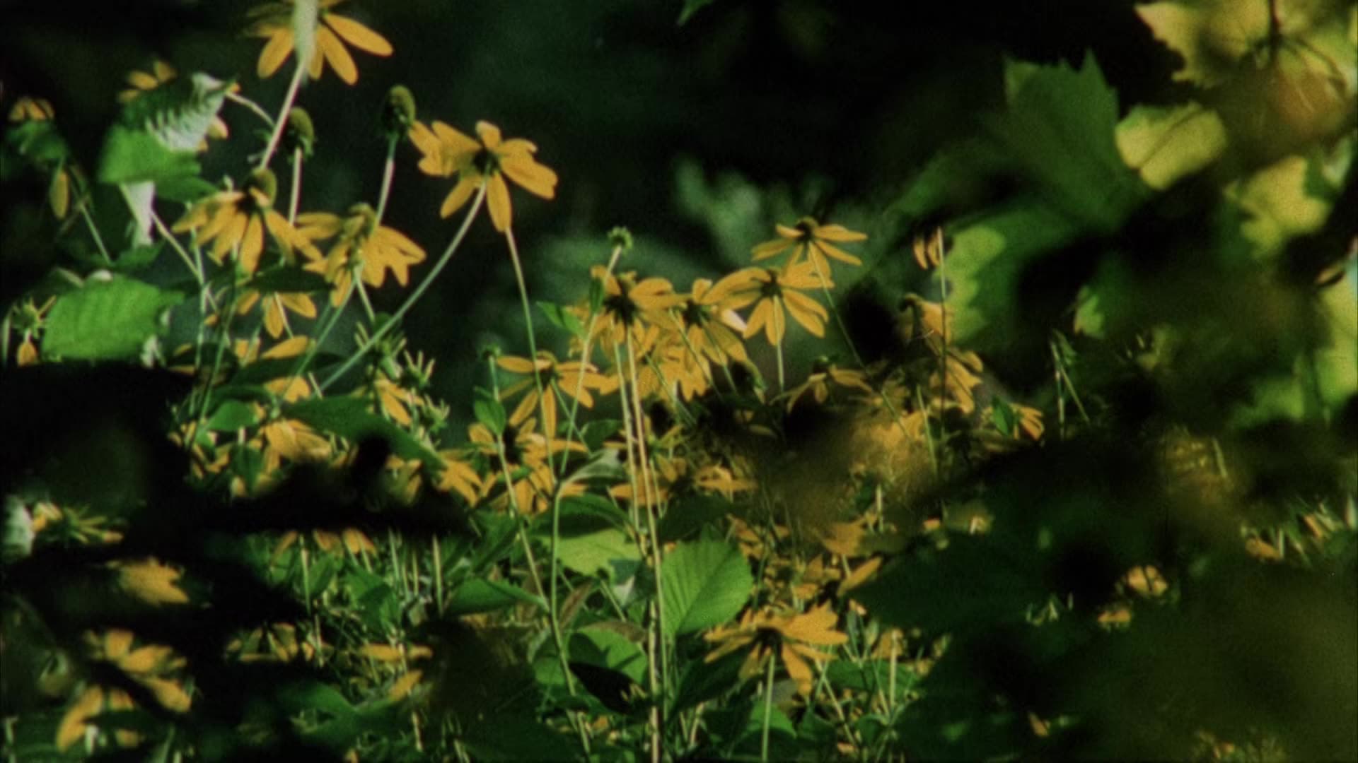 사적 악, 공적 미덕