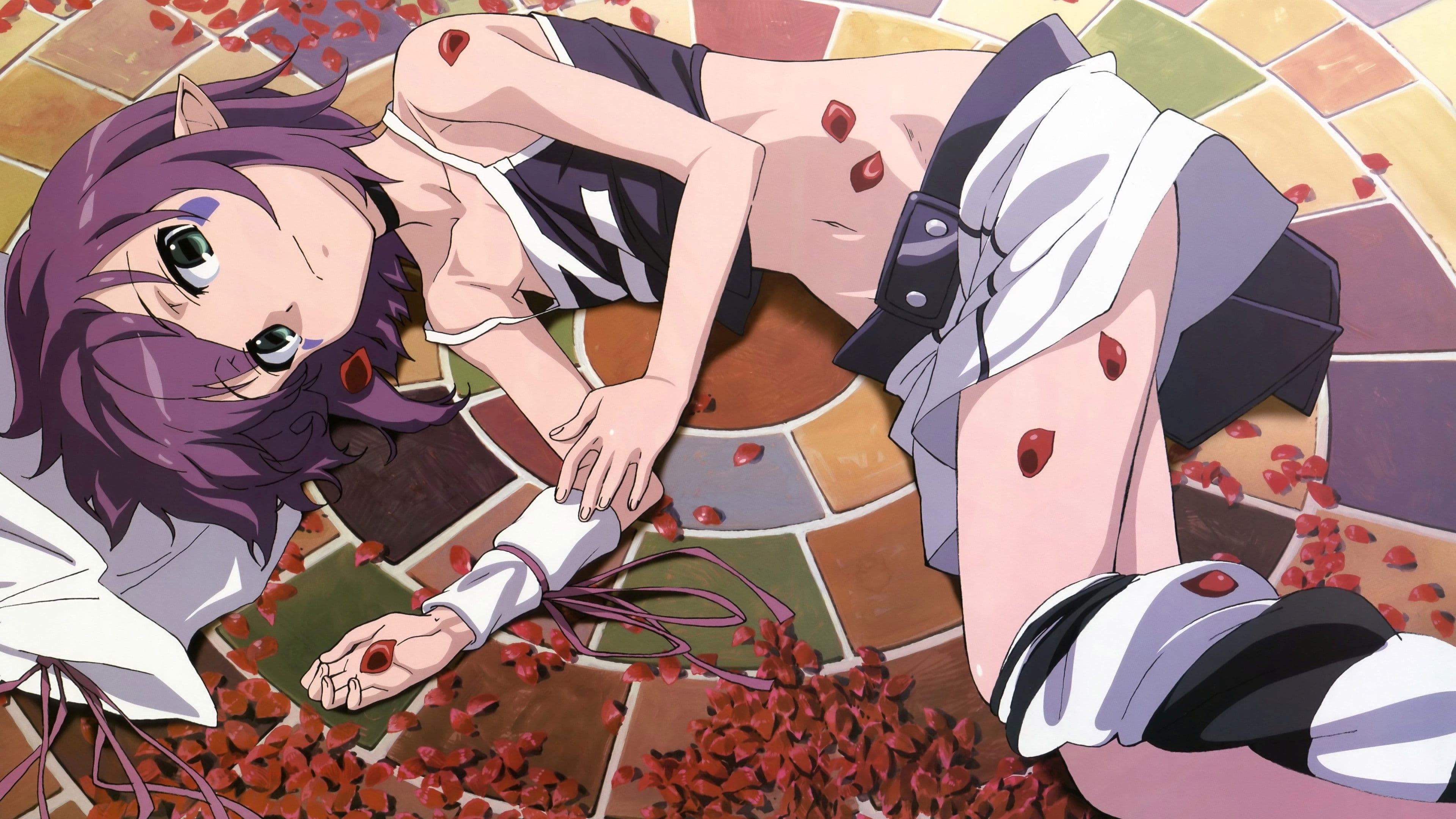 꿈을 먹는 메리