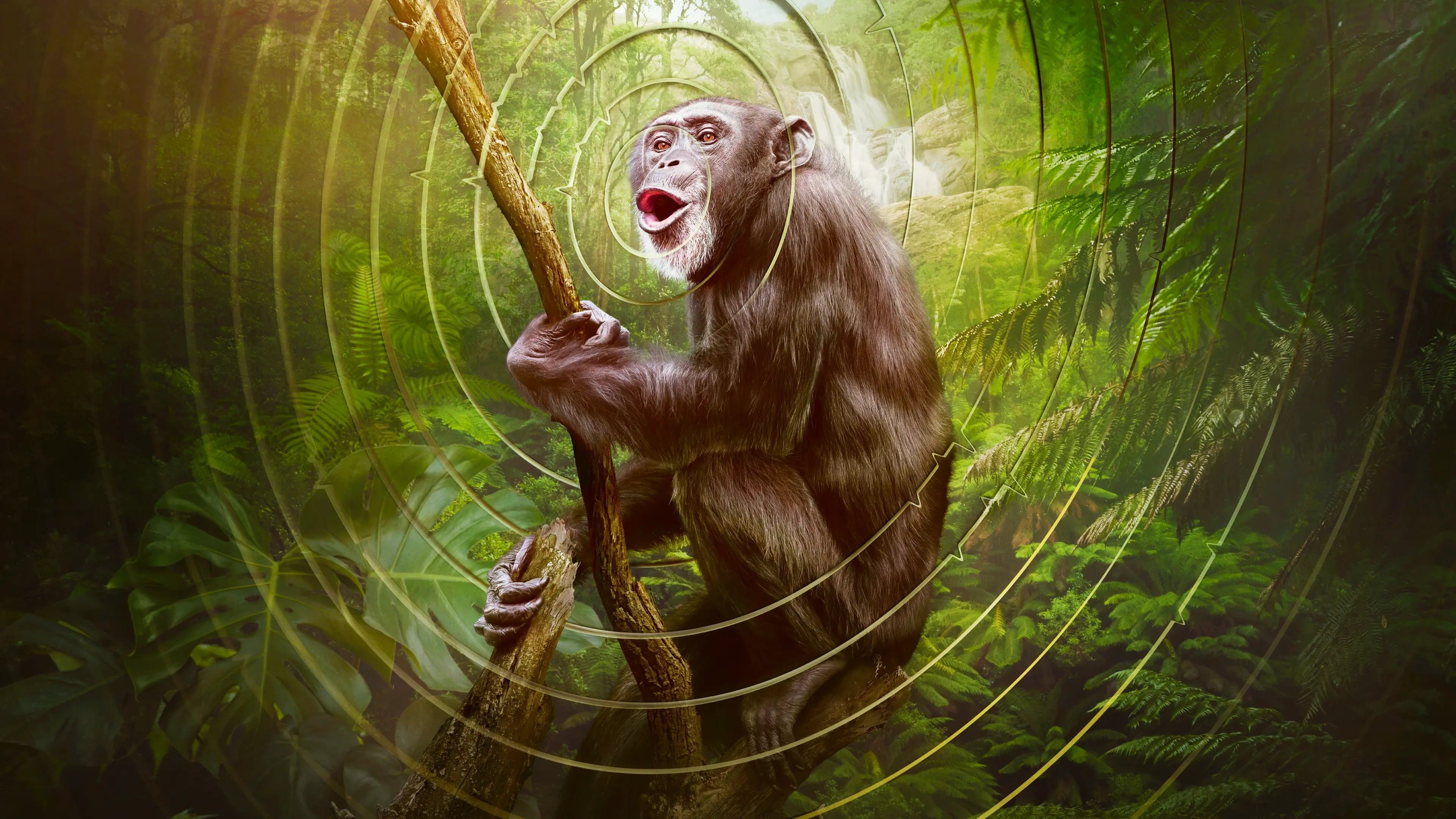 '지구의 목소리' - Earthsounds