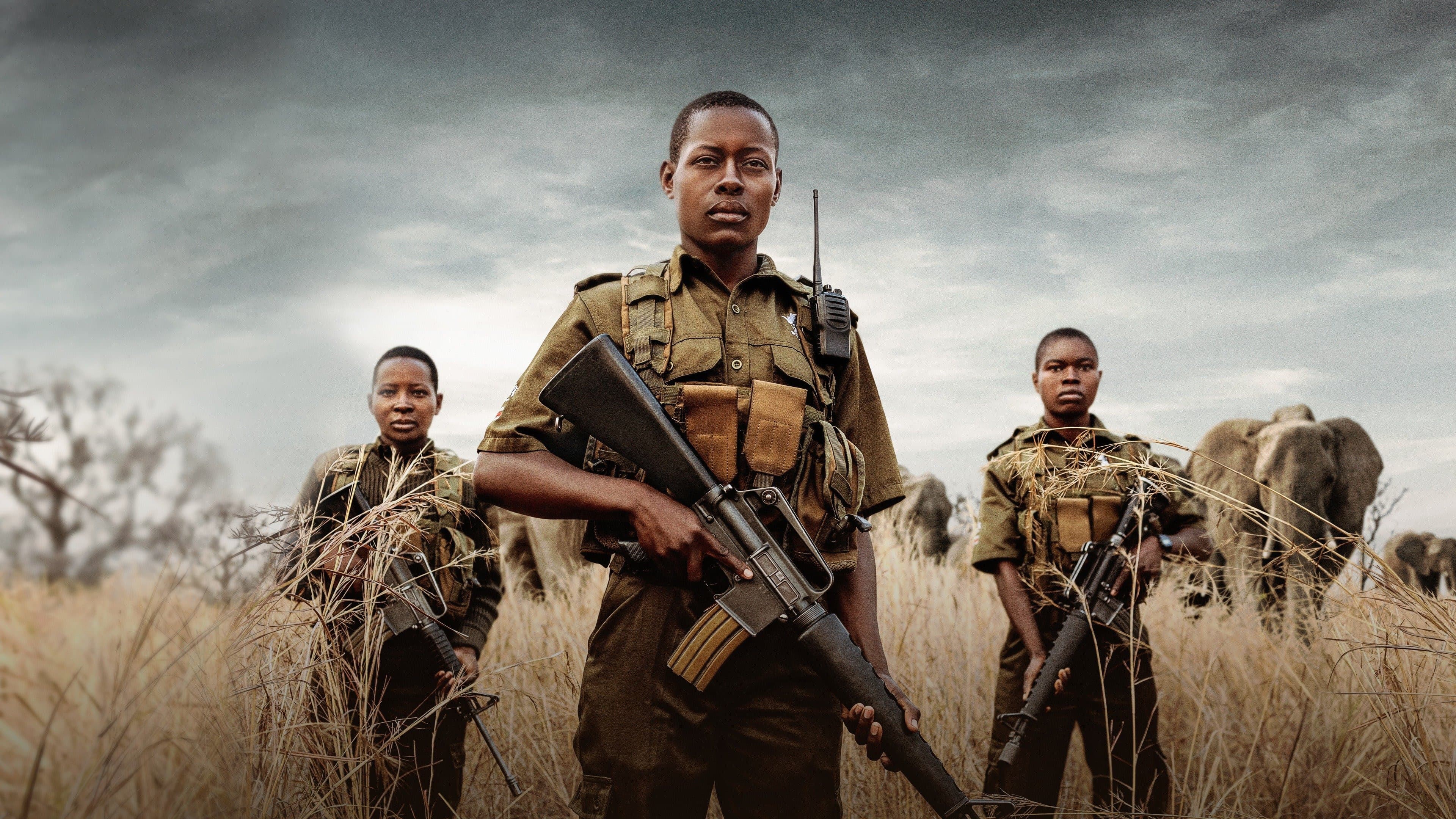 용감한 순찰대원들