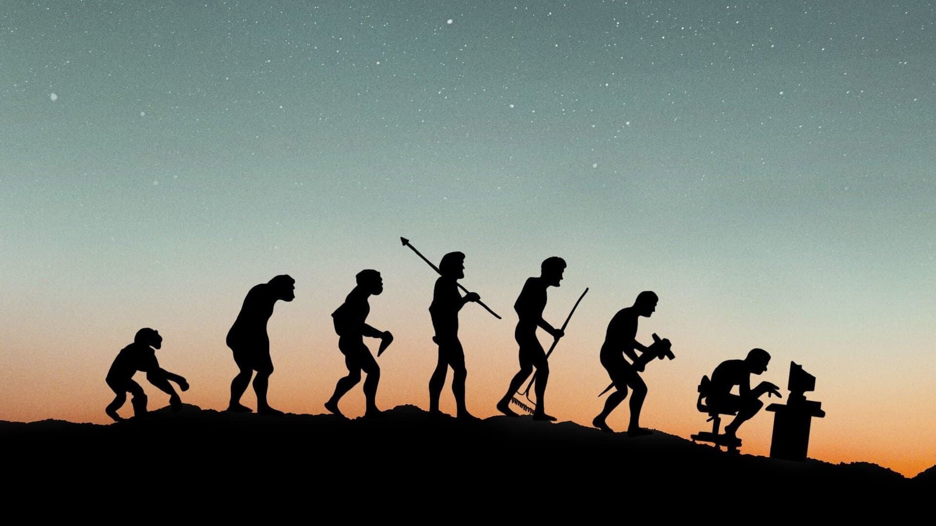 사이버 세상에 대한 몽상