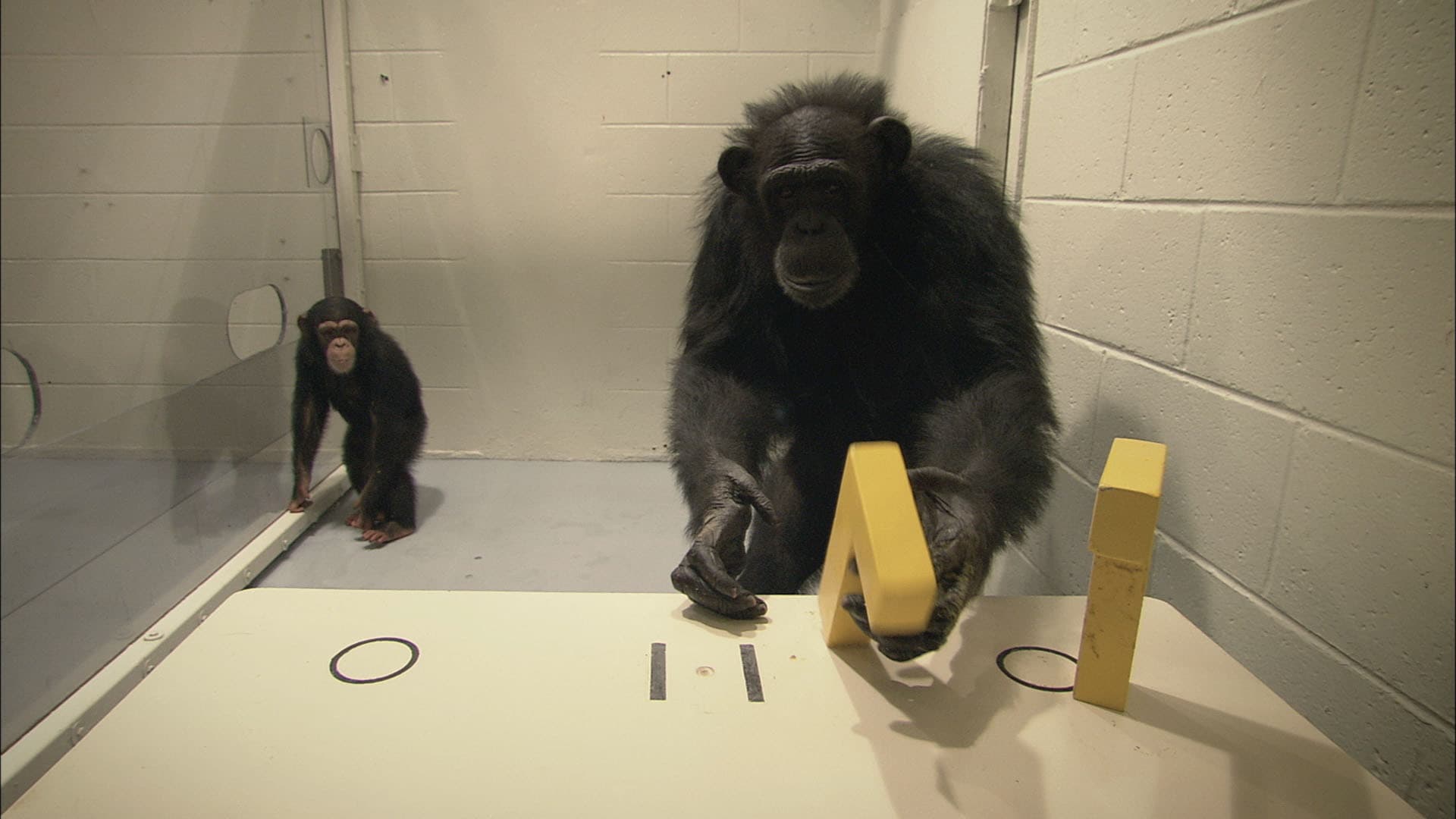 서바이빙 프로그레스