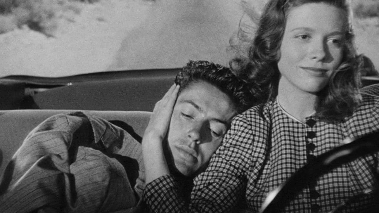 그들은 밤에 산다